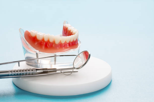 Trusted East Renton Highlands, WA Holistic Dental Care Services Experts